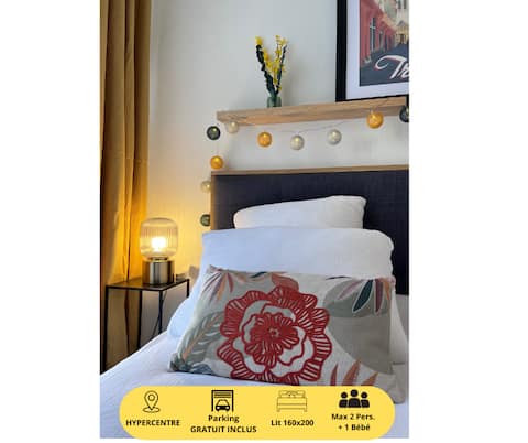 Propriété Airbnb réussie: Le petit Foch - parking included à Troyes