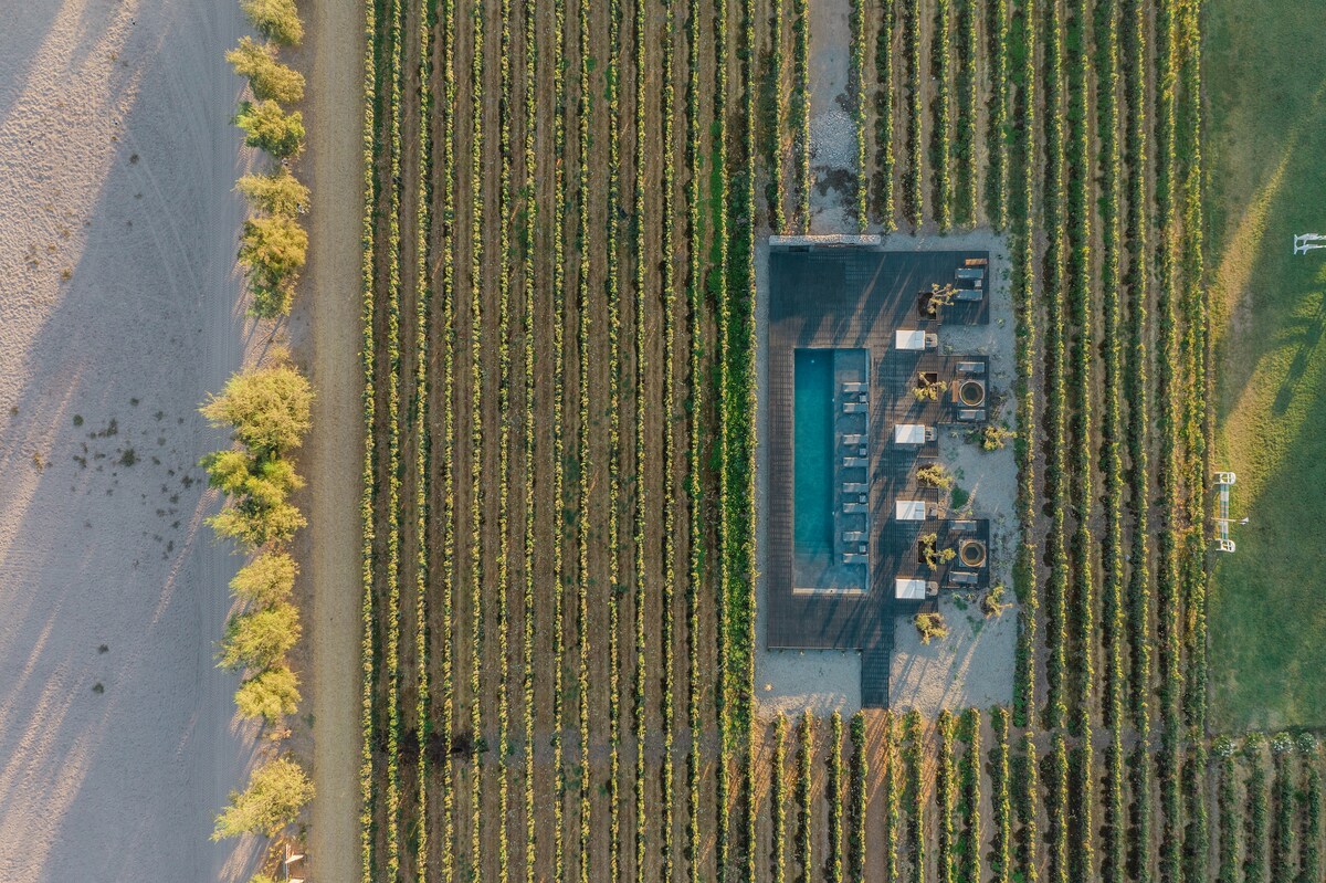 An aerial view showcases the vineyard and the serene pool area surrounded by rows of lush grapevines. The pool is framed by sun loungers, offering a space for relaxation, while the natural landscape merges with the neatly arranged vineyards.