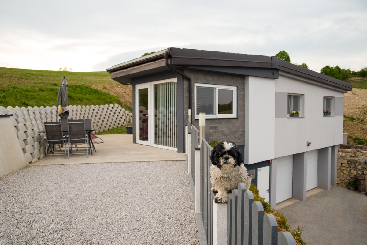 A modern two-story house is set against a green hillside. The patio features a dining area with several chairs and a table. A dog rests on a low fence, while landscaped gravel and a small umbrella provide additional outdoor touches.