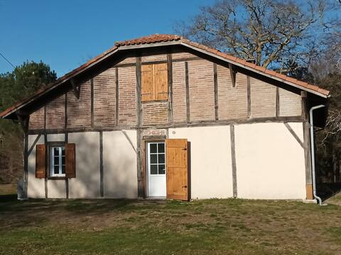 Large home completely renovated