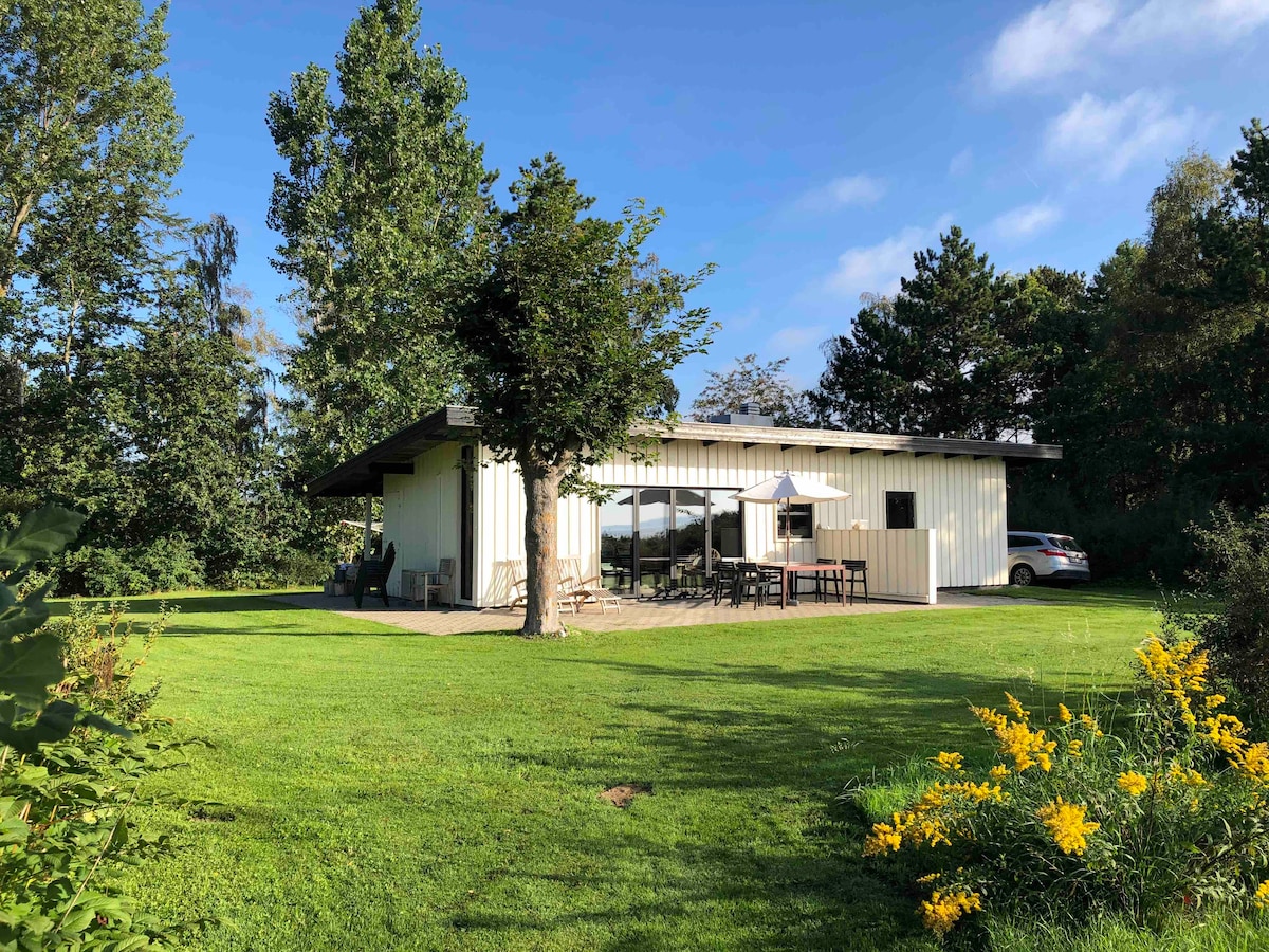 A single-story house with a white façade is surrounded by a spacious lawn, featuring tall trees and flowering bushes. Outdoor seating is arranged on a stone patio, with a car parked nearby. Large windows reflect the natural surroundings, inviting ample daylight.
