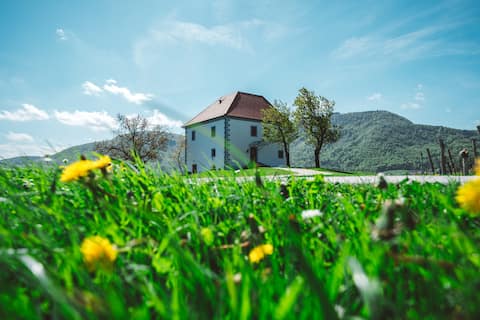 Noble stay - apartment among vineyards