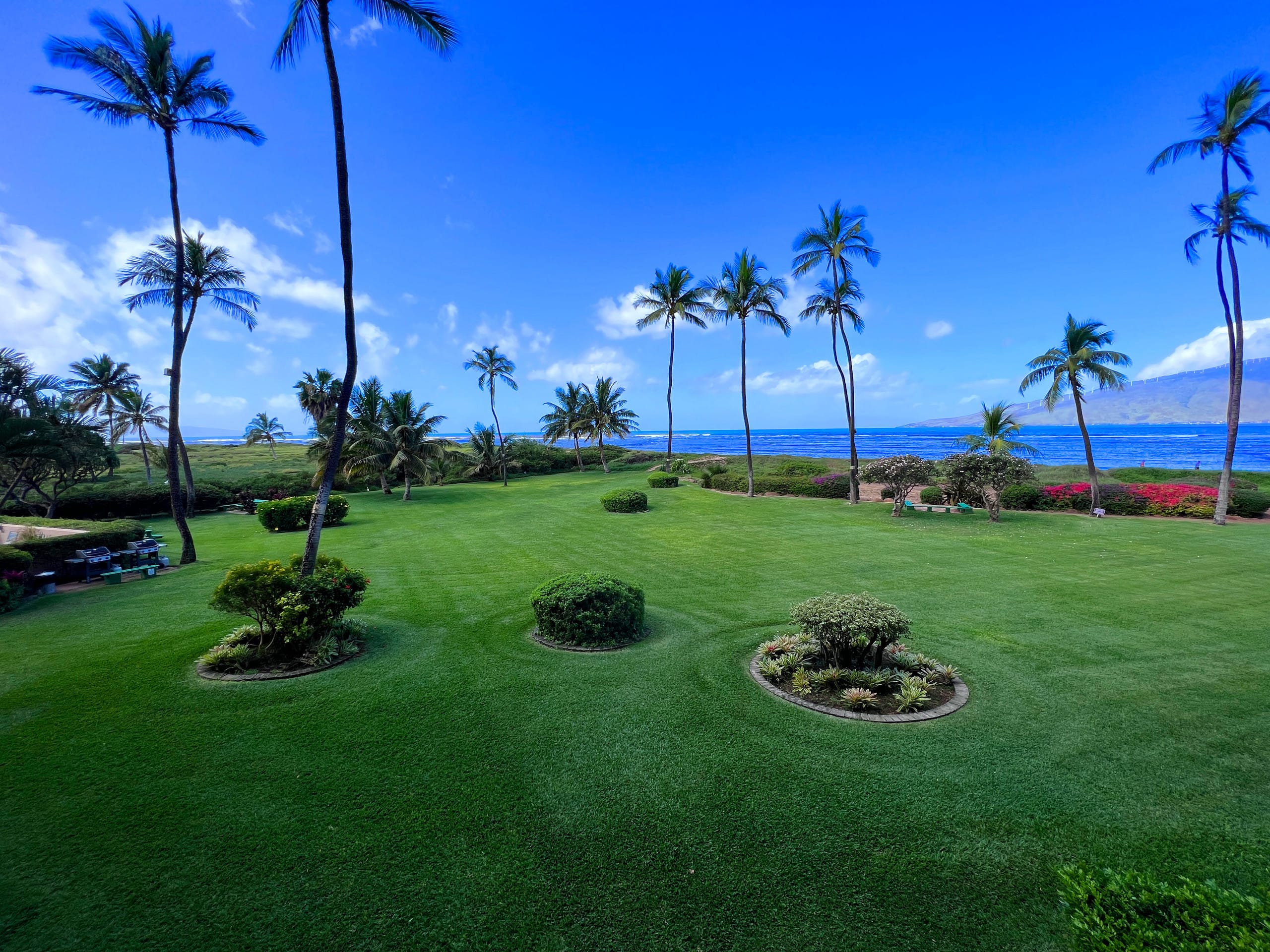 Condo in Kihei · ★4.94 · 1 bedroom · 2 beds · 1 private bath - Image 26