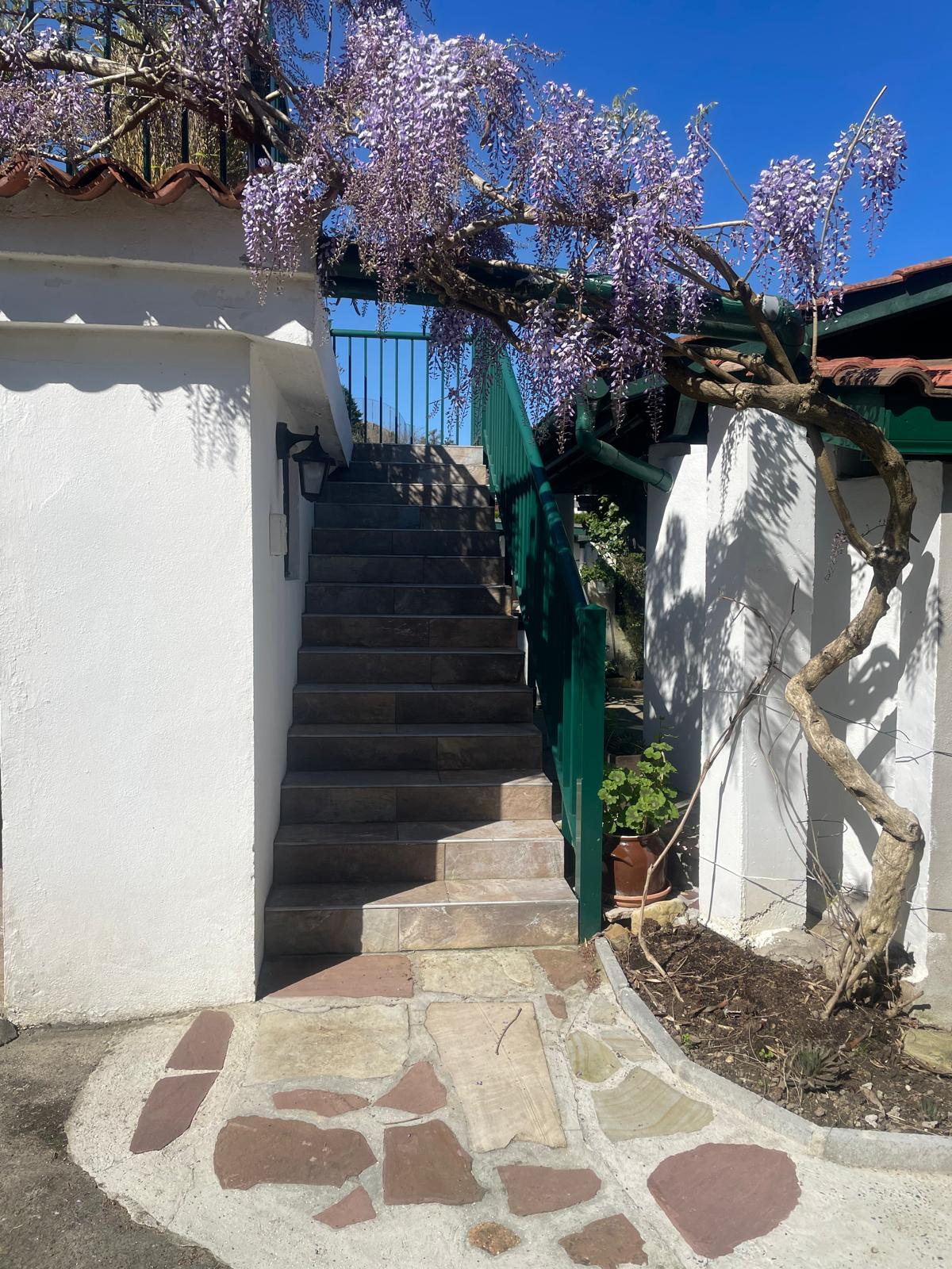A sunlit pathway leads to a staircase adorned with climbing wisteria, featuring lush purple blooms above. The steps, constructed with various stone materials, offer access to a higher level. The walls are painted in white, providing a fresh and clean appearance.