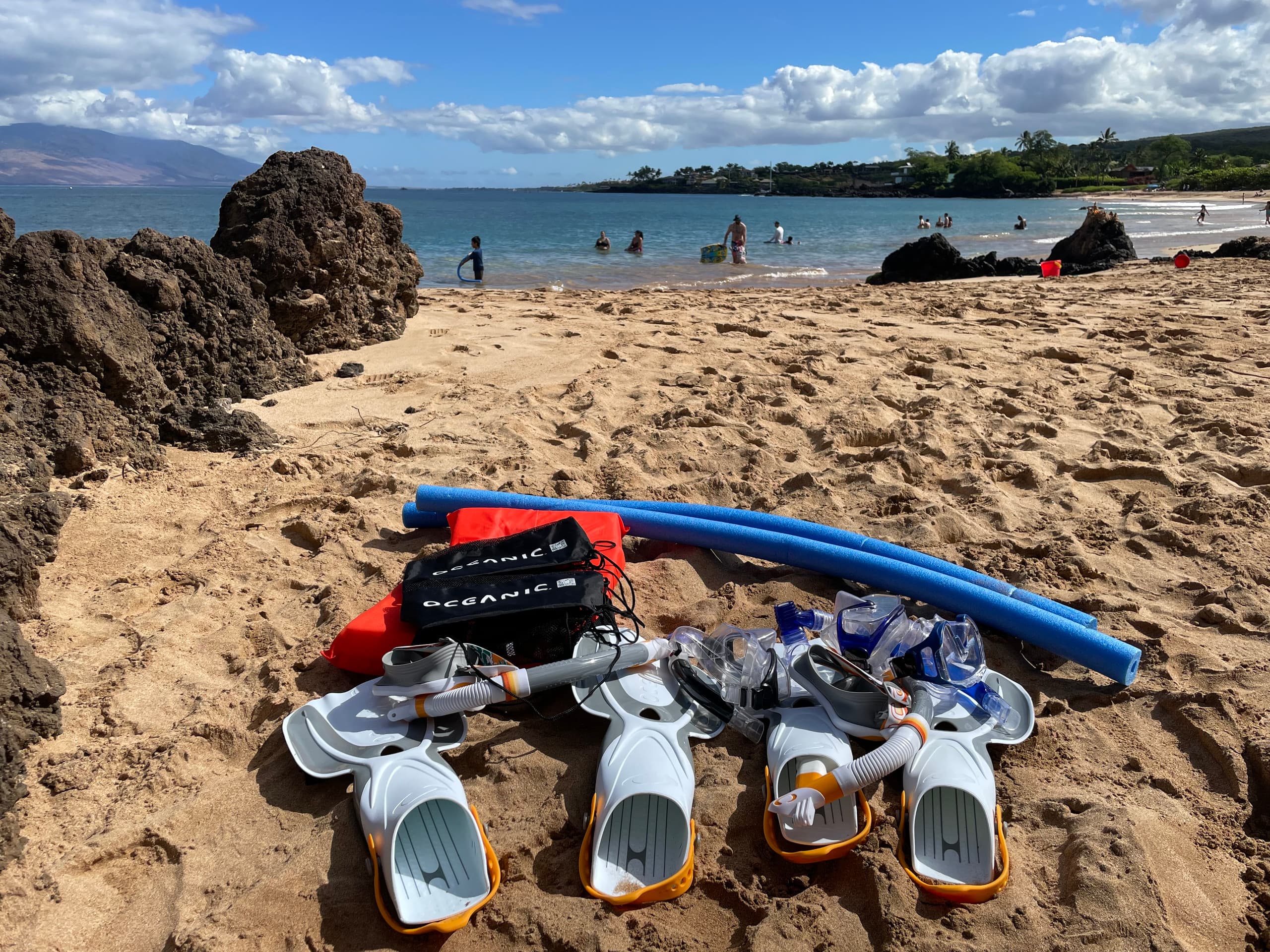 Condo in Kihei · ★5.0 · 1 bedroom · 2 beds · 1 private bath - Image 71
