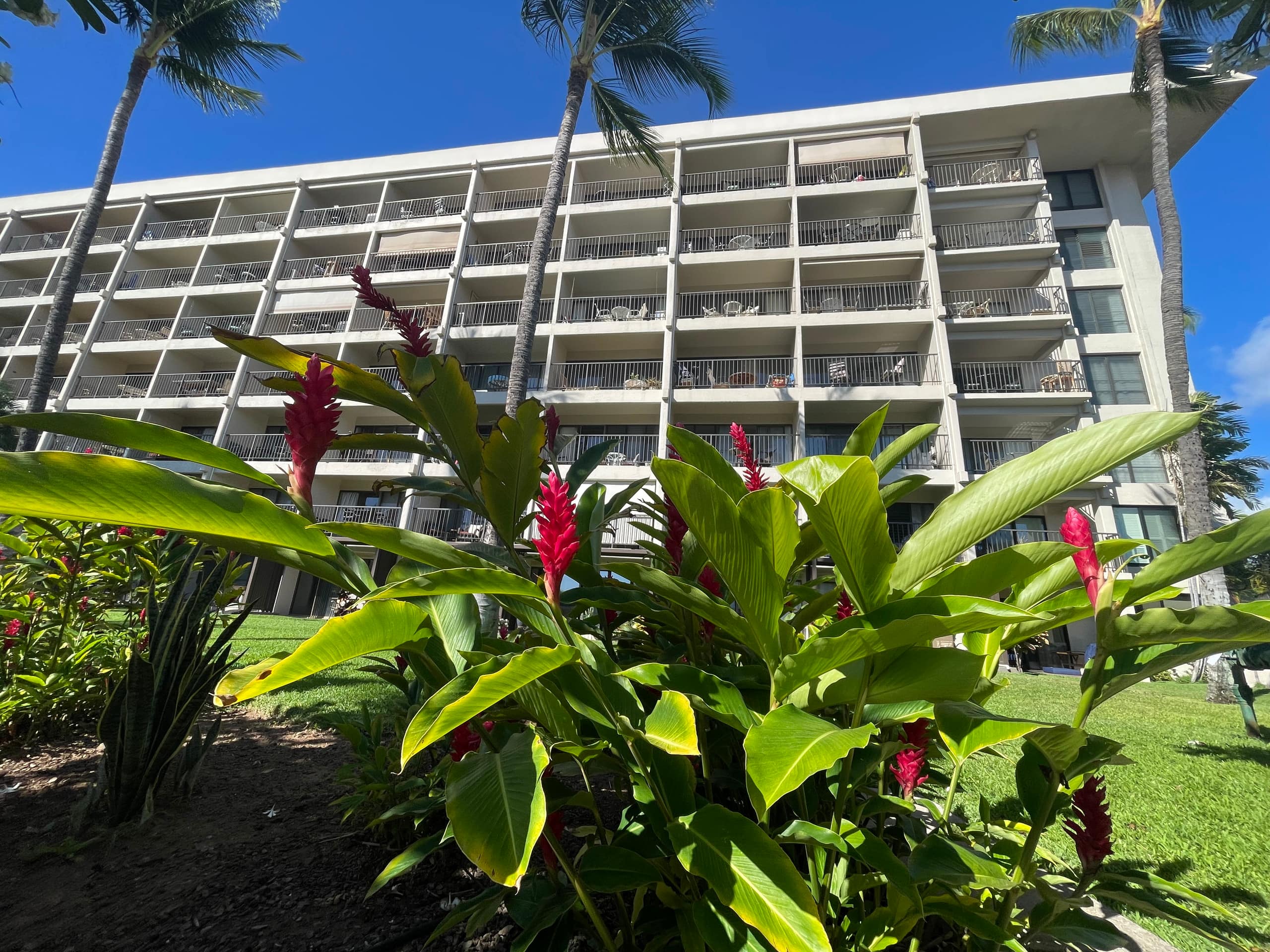 Condo in Kihei · ★5.0 · 1 bedroom · 2 beds · 1 private bath - Image 23