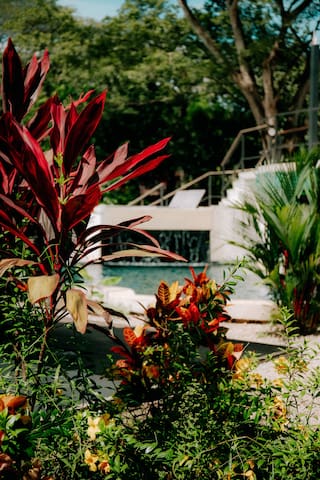 Mango Y Mono Resort managed Airbnb listing 1