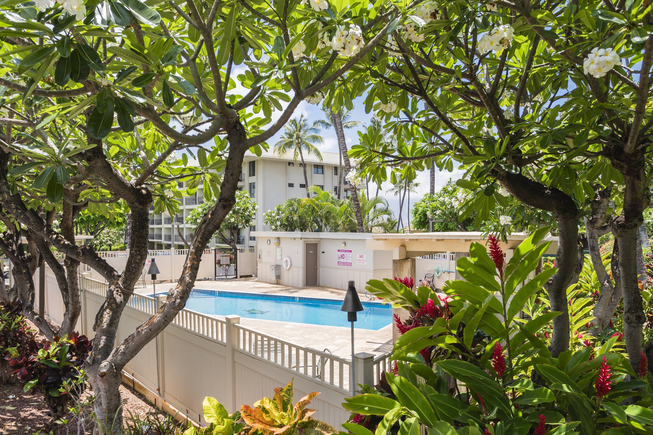 Condo in Kihei · ★4.99 · 1 bedroom · 2 beds · 1 bath - Image 22