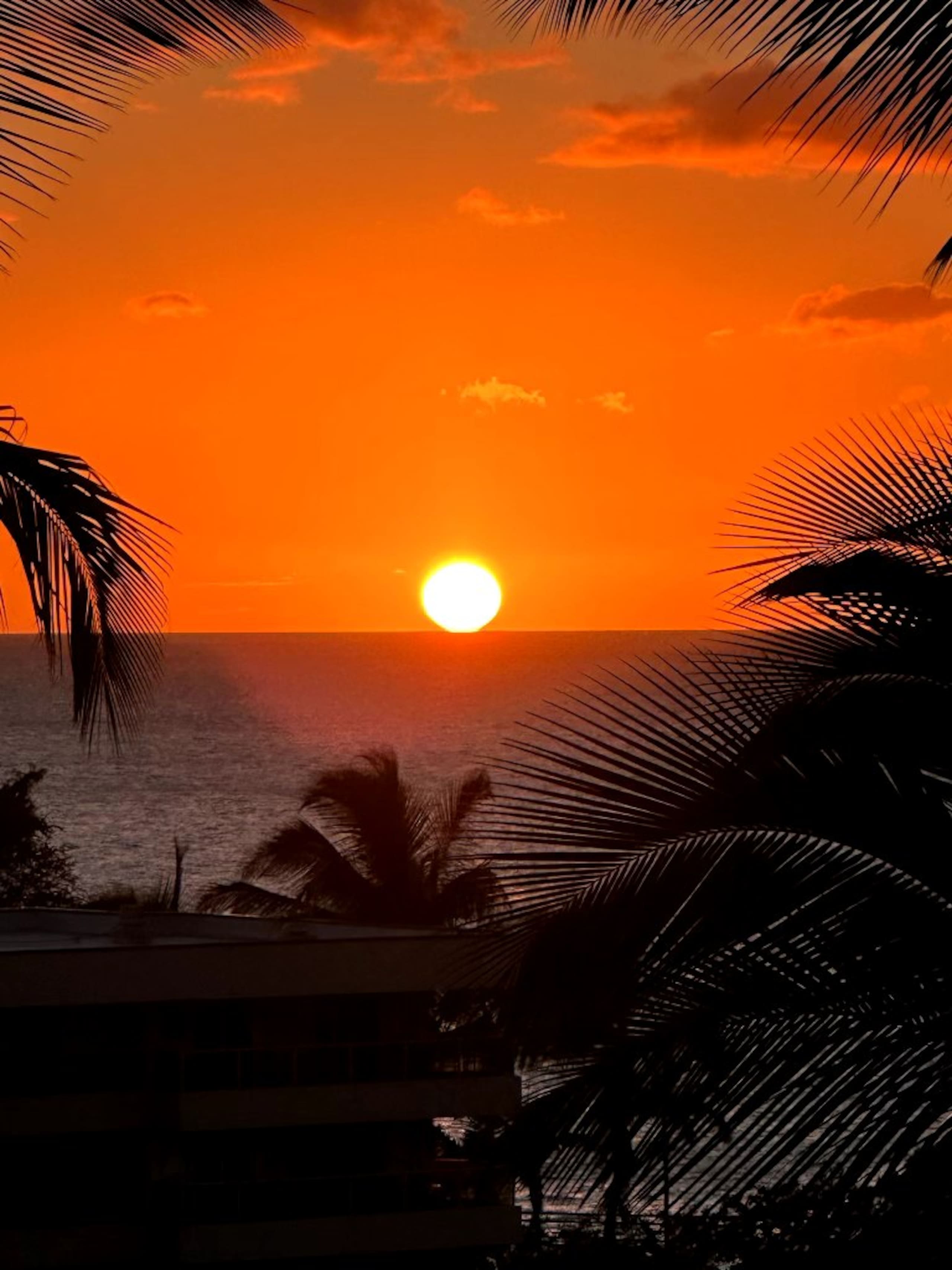 Condo in Kihei · ★4.99 · 1 bedroom · 2 beds · 1 bath - Image 11