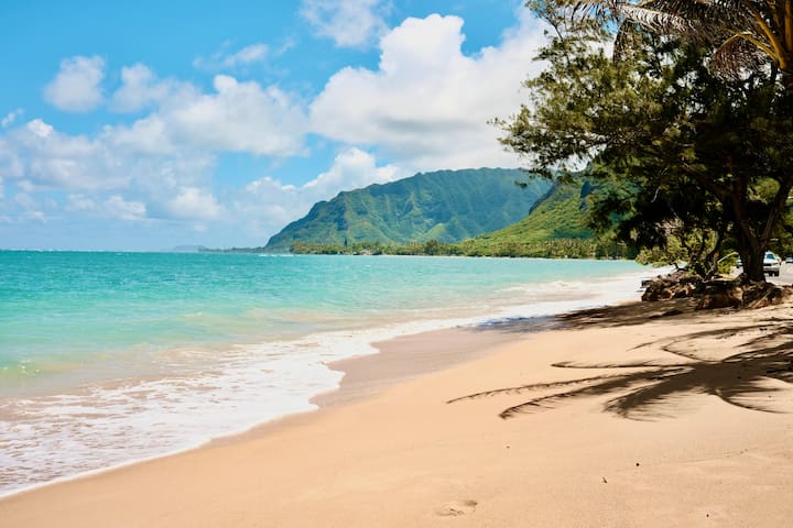 Large 6BR Country Home Kahuku North Shore Beaches