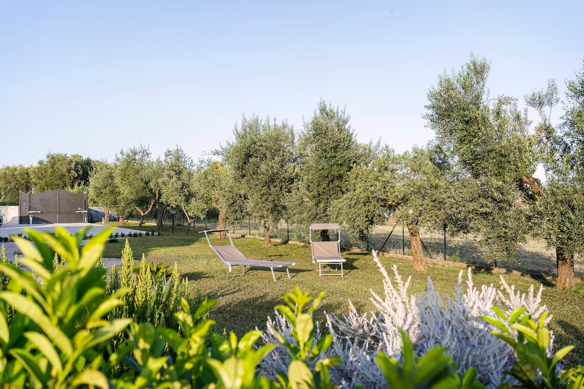 A lush garden area is depicted, featuring olive trees surrounded by well-maintained grass. Two lounge chairs are positioned for relaxation, creating a serene outdoor environment, while colorful shrubs frame the scene, enhancing the tranquil atmosphere.