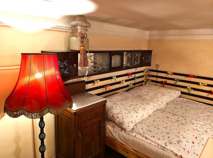 Un posto per dormire sotto una bella mensola in vetro smerigliato, realizzata da un maestro falegname viennese nel secolo scorso.