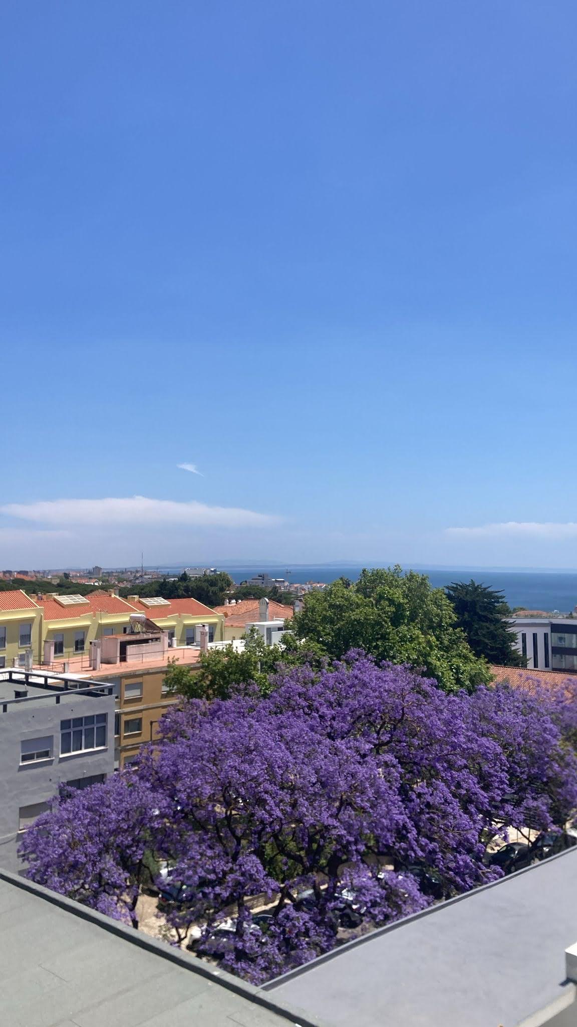 A panoramic view captures blooming jacaranda trees with vibrant purple flowers in the foreground. Colorful houses line the landscape, accompanied by greenery and a clear blue sky. The distant sea can be seen, providing a serene backdrop to the tranquil neighborhood.