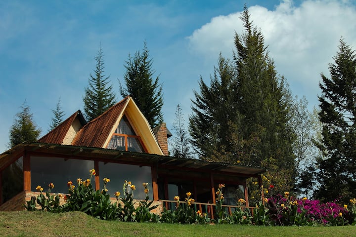 75bd1382-ad0b-4087-843f-