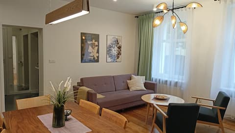 Successful Airbnb property: Vintage parking City Apartment in Bydgoszcz