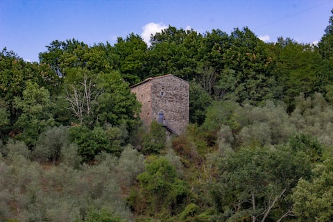 The Tower in the Woods up to 8 seats, unique location