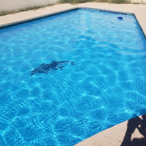 Airport 3 mins, Strip 5 mins with gameroom & pool