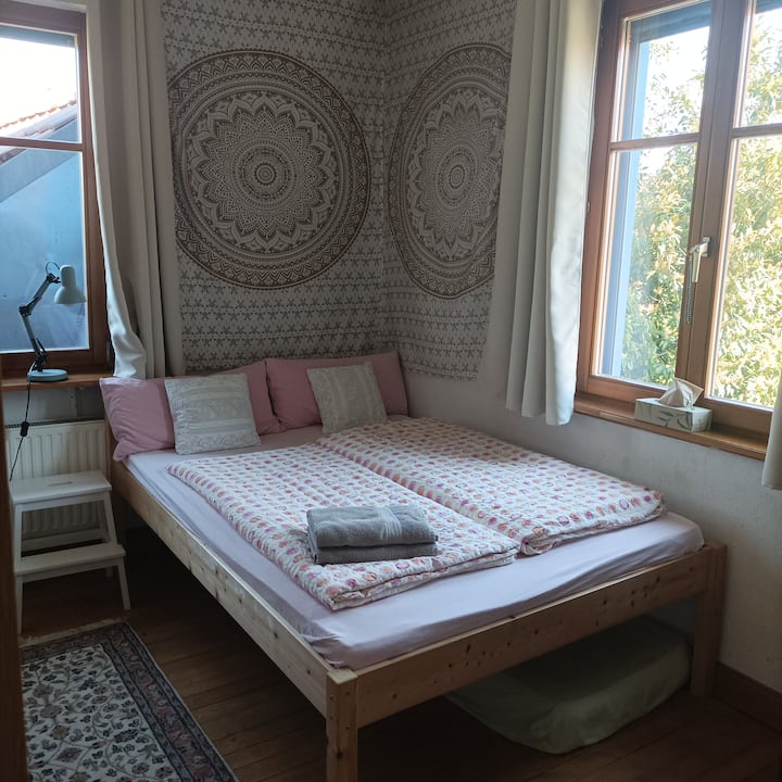 Cama para personas mayores (extra alta, 55 cm) 140x200 cm
Cortinas opacas.
Persianas en una ventana.