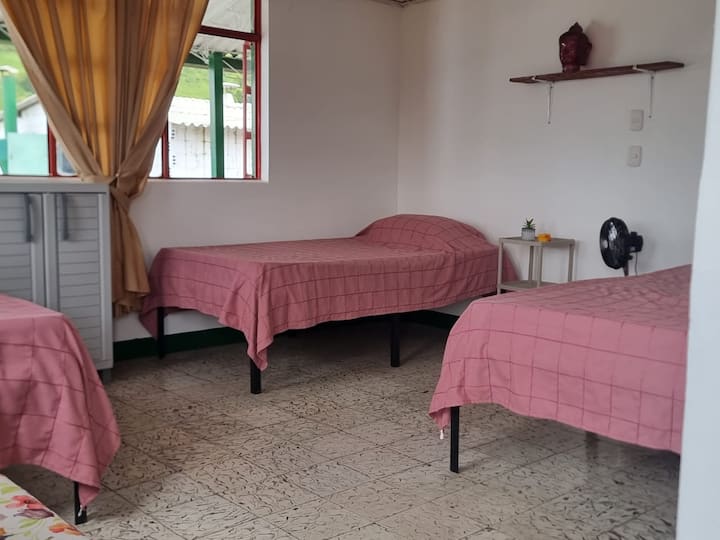 Habitación 1