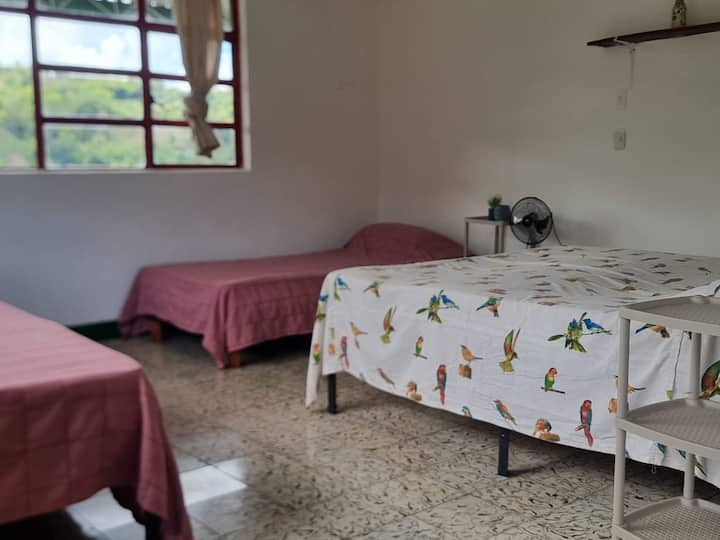 Habitación 4