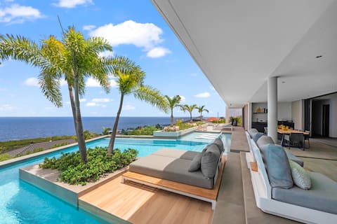 The Blue Pearl Curacao