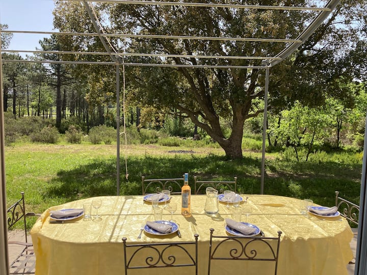 Villa Provençale Dans Le Golfe De Saint Tropez - Gassin