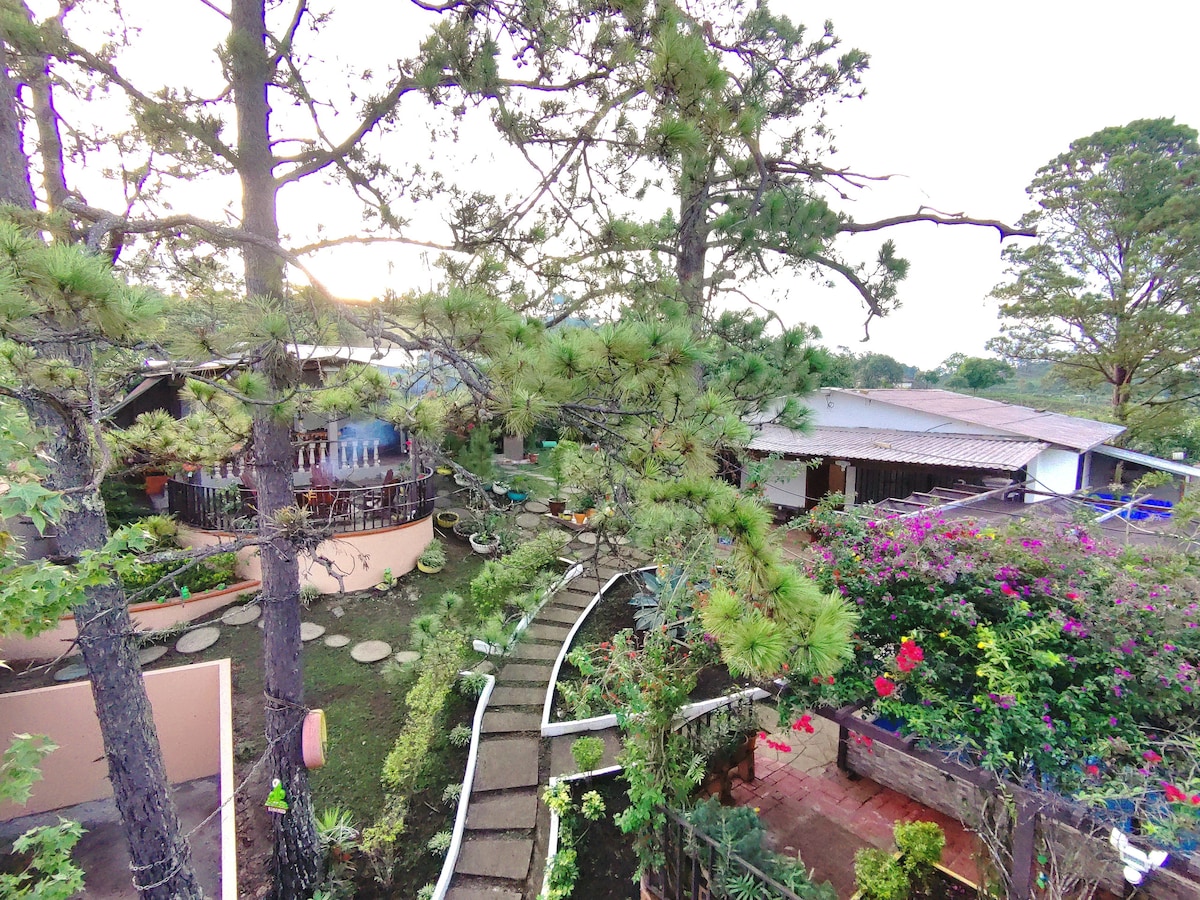 A view of the property's garden reveals winding stone paths surrounded by greenery. Tall trees provide shade, while colorful flowers add vibrancy to the landscape. The layout features rustic structures and outdoor seating areas, creating inviting spaces for relaxation amidst nature.