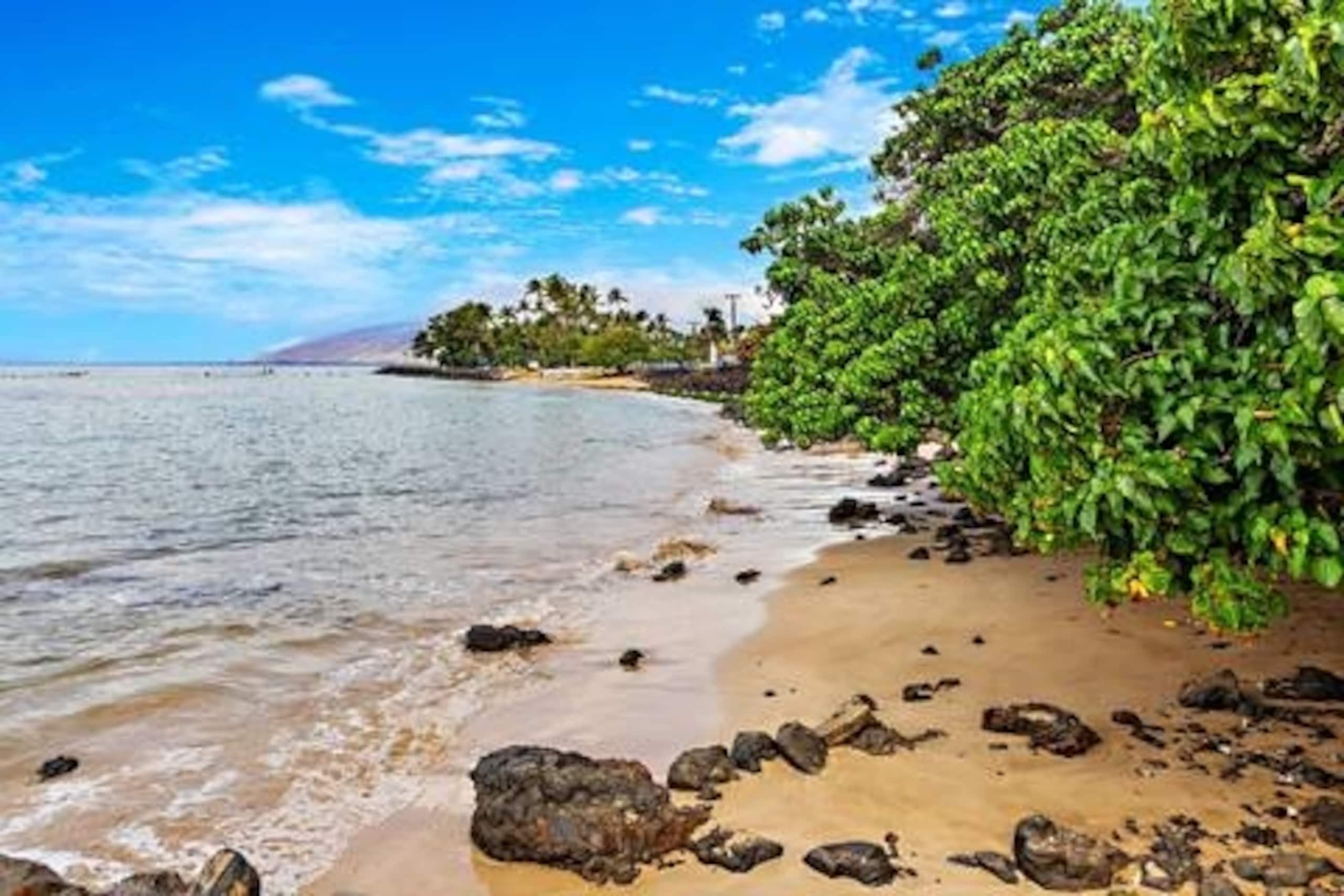 Condo in Kihei · ★4.86 · 1 bedroom · 2 beds · 1 private bath - Image 30
