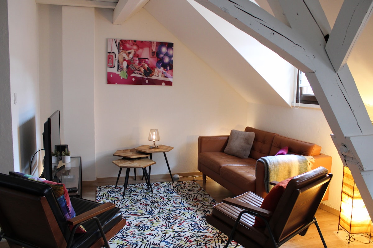 Successful Airbnb property: Charming air-conditioned duplex, 2 bedrooms in Strasbourg