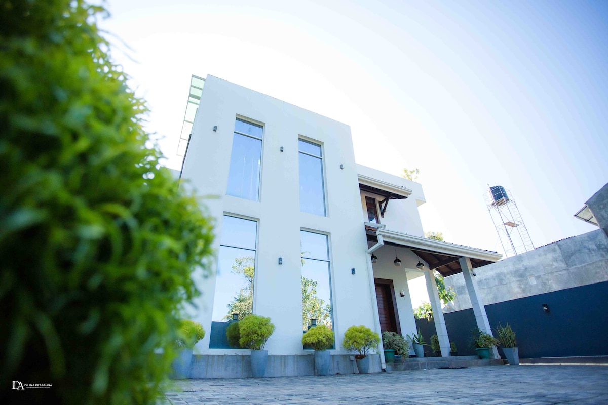 A modern two-story house is presented, featuring large windows that reflect natural light and the surrounding greenery. The entrance is framed by neatly manicured shrubs and a pathway made of stone, offering a clean and inviting appearance.