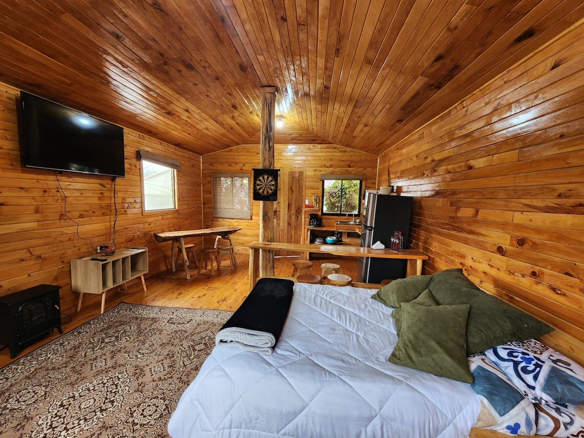 The interior space features wooden paneling and a cozy sleeping area with a spacious bed covered by a light quilt and green pillows. A small dining table and chairs are positioned near a window, while a television is mounted on the wall next to a compact kitchen area.
