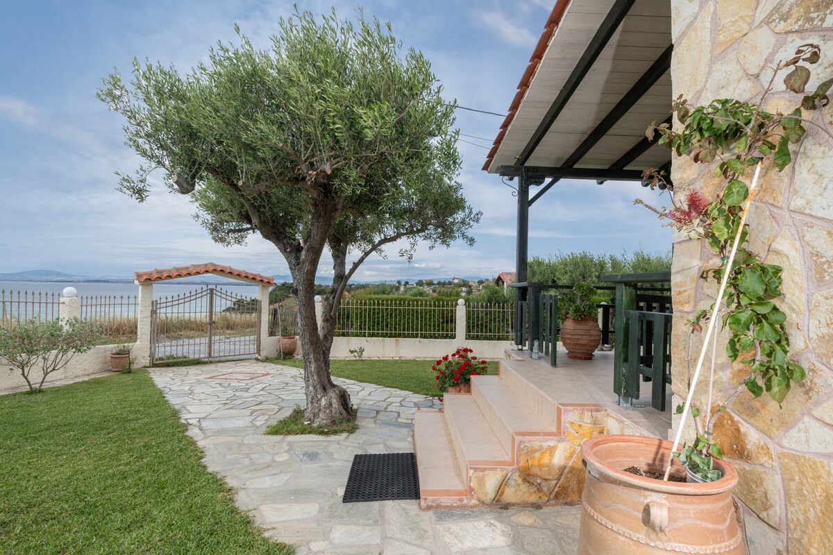 A stone pathway leads to a welcoming entrance adorned with steps and potted plants. An olive tree stands near the path, while a view of the sea can be glimpsed through the gates. Lush greenery surrounds the area, enhancing the outdoor space.