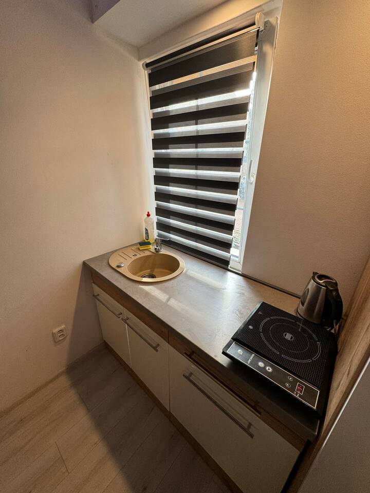 Modern apartment in the city center
