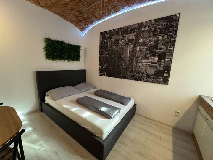 Modern apartment in the city center