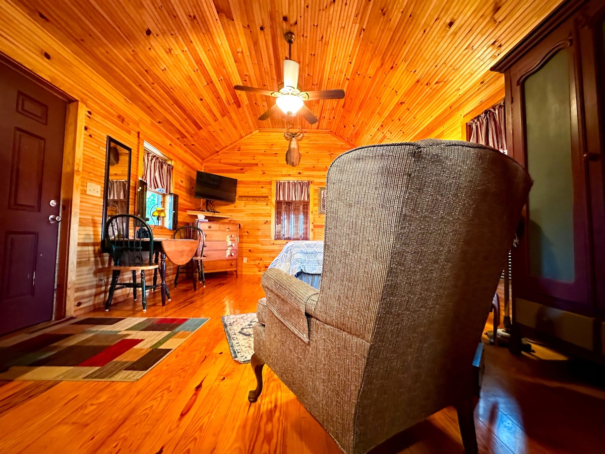 The interior of the cottage showcases warm wooden paneling and a high ceiling. A comfortable armchair is positioned to offer a view of a small TV, while a patterned rug adds color to the polished wooden floor. Bright natural light filters through the windows, creating a cozy atmosphere.