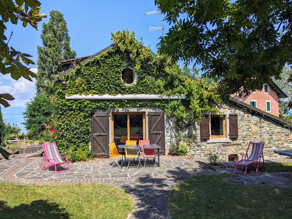 The exterior of the house features a stone facade, partially covered in greenery, with wooden shutters and a welcoming doorway. A paved patio is adorned with colorful chairs and tables, surrounded by a grassy area and mature trees, offering a serene outdoor setting.