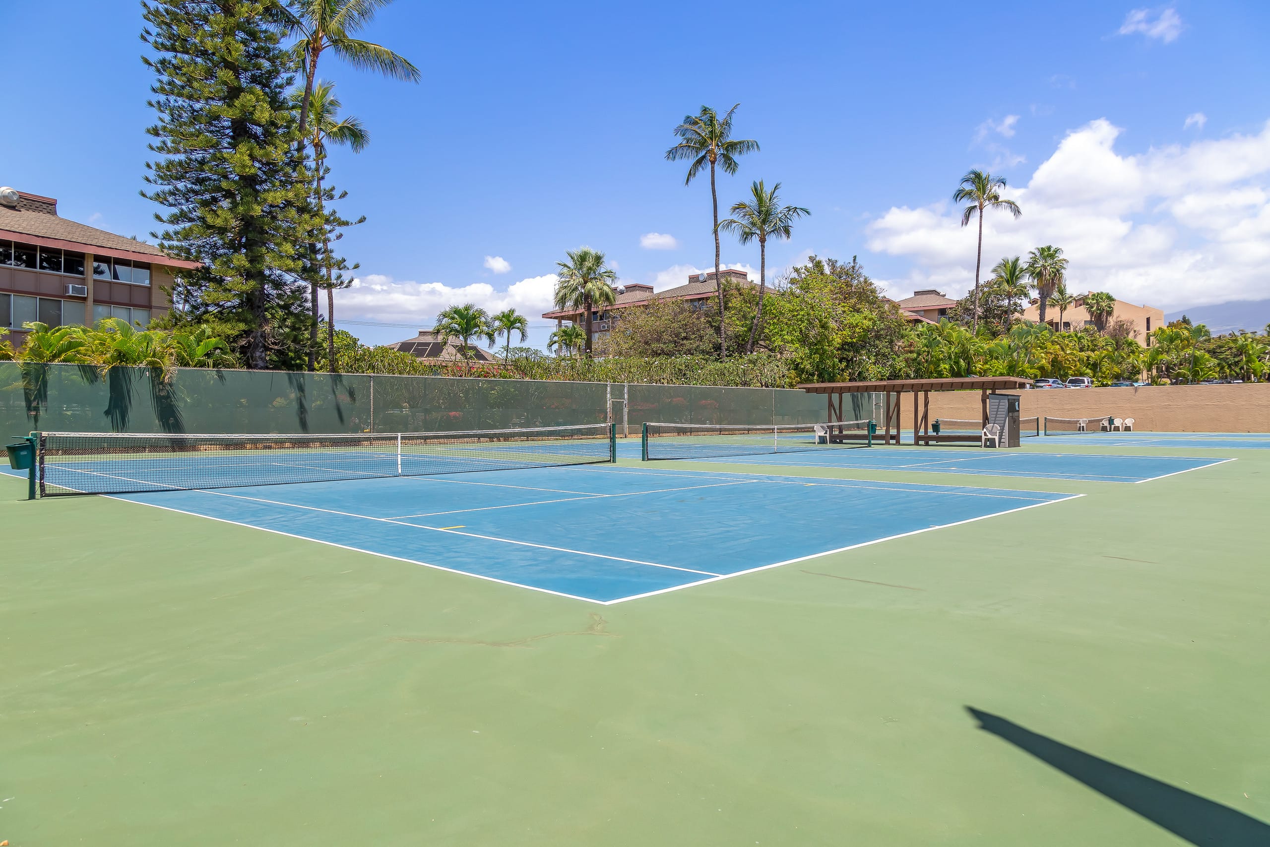 Your Perfect Kihei Vacation full of ALOHA - Image 43