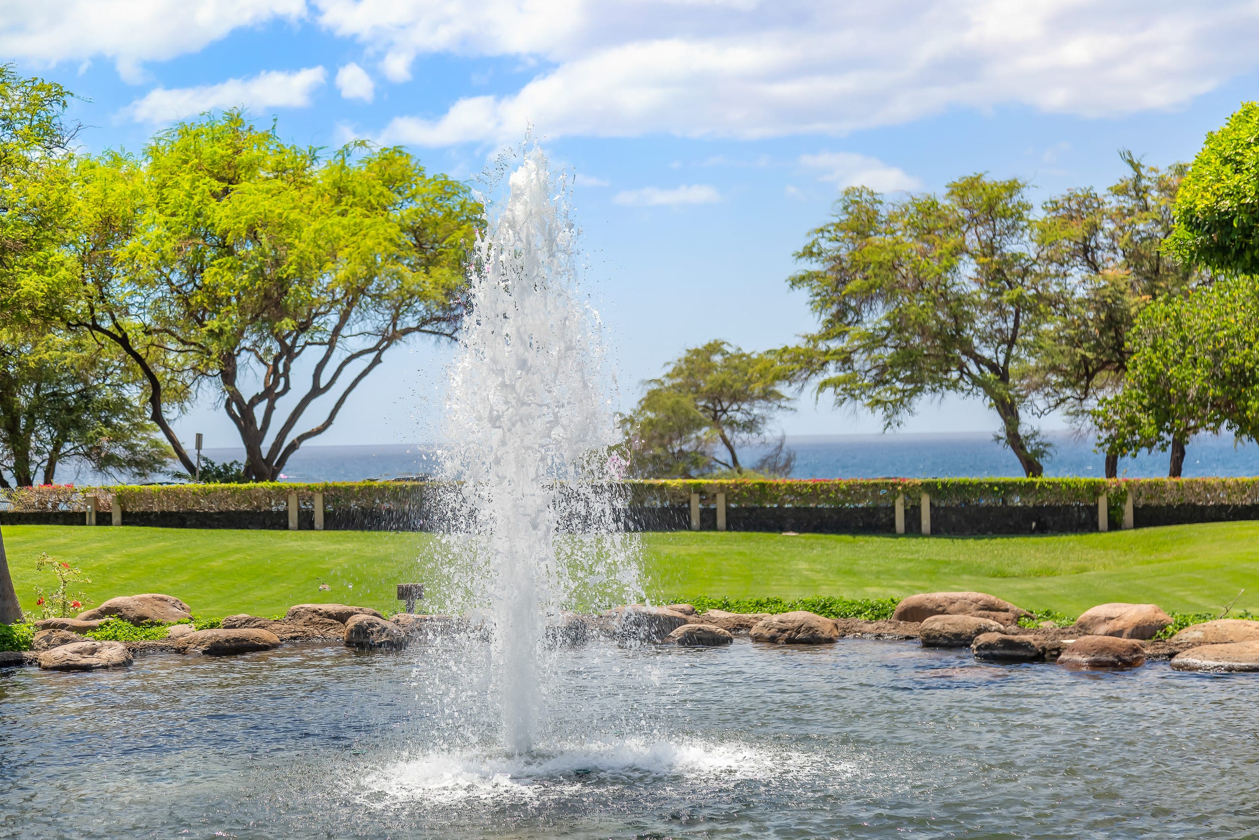 Your Perfect Kihei Vacation full of ALOHA - Image 50
