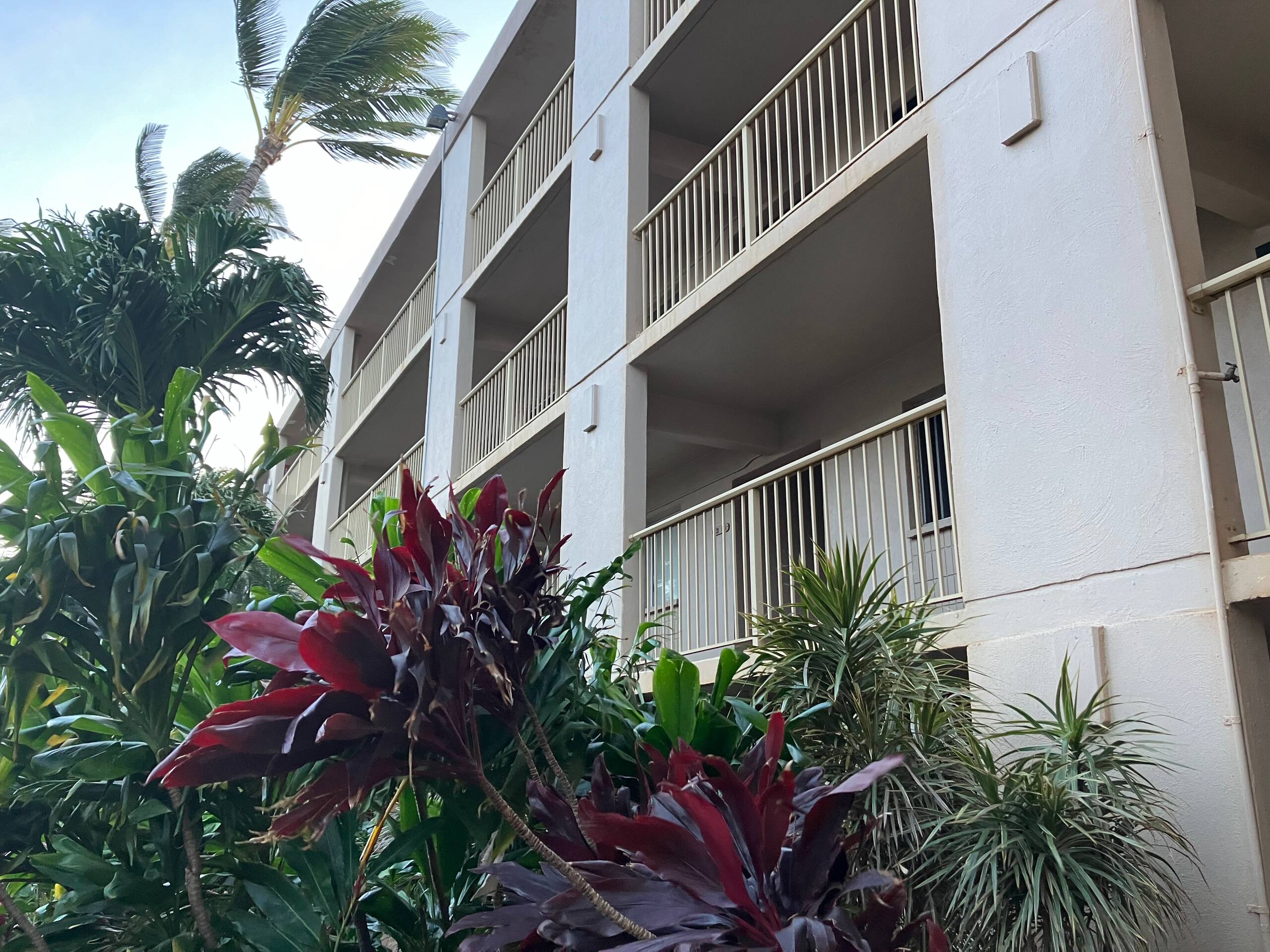 Condo in Wailuku · ★4.74 · 1 bedroom · 1 bed · 1 bath - Image 74