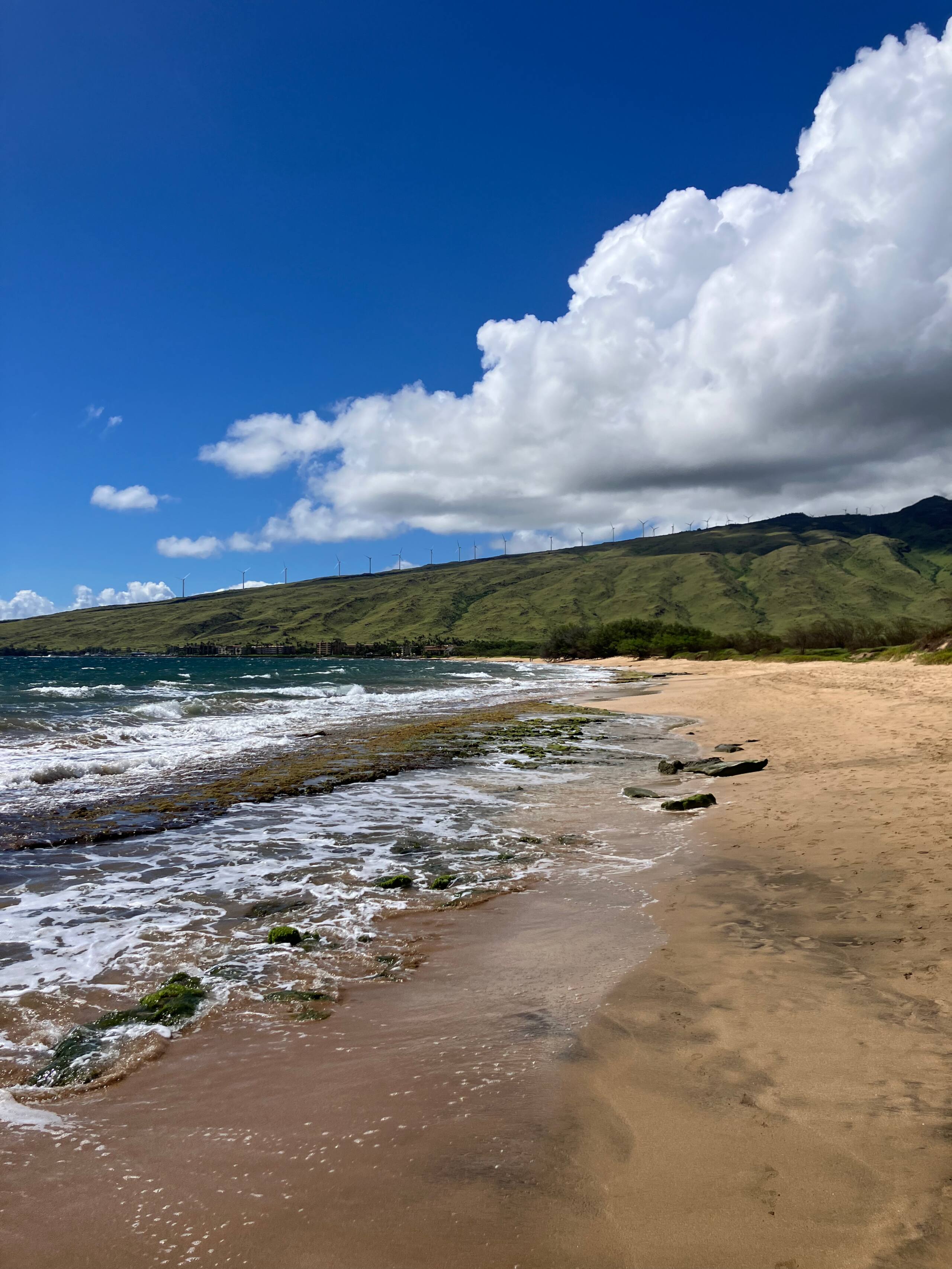 Condo in Wailuku · ★4.74 · 1 bedroom · 1 bed · 1 bath - Image 88