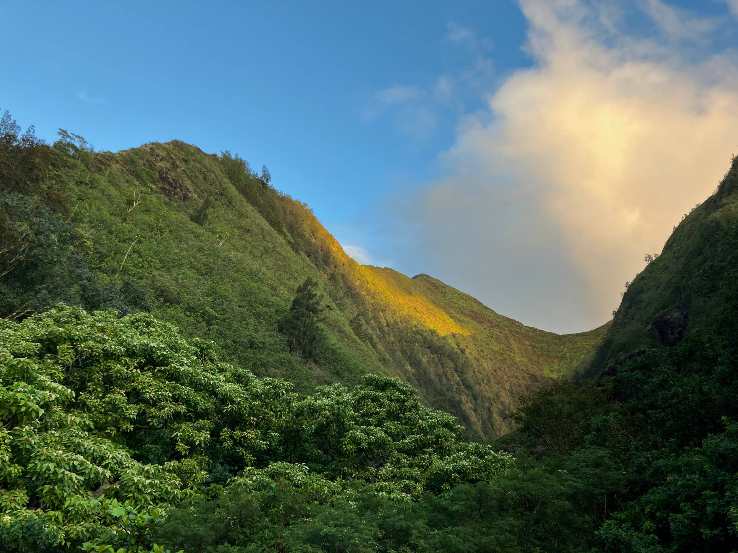 Condo in Wailuku · ★4.74 · 1 bedroom · 1 bed · 1 bath - Image 89