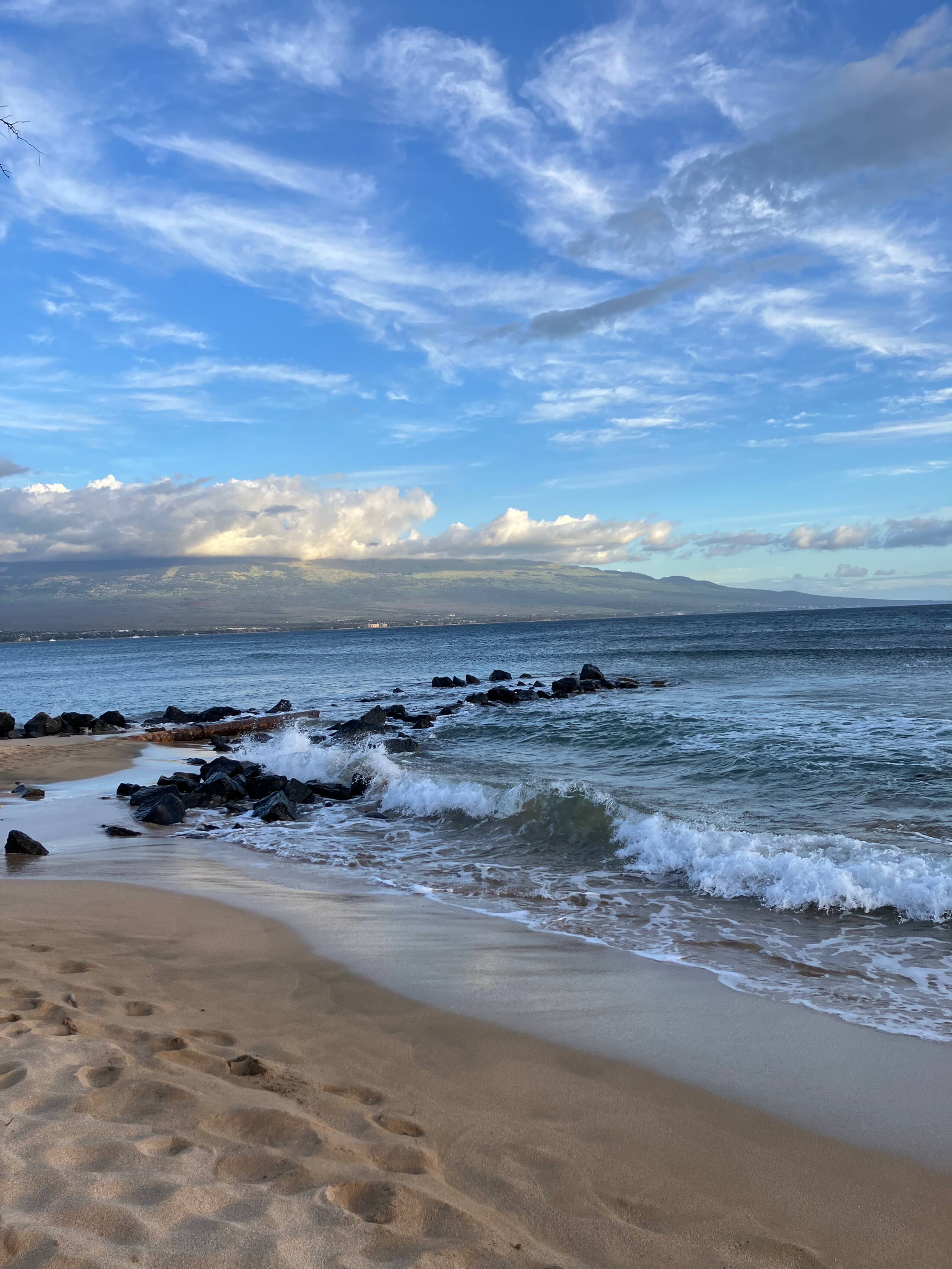 Condo in Wailuku · ★4.74 · 1 bedroom · 1 bed · 1 bath - Image 91