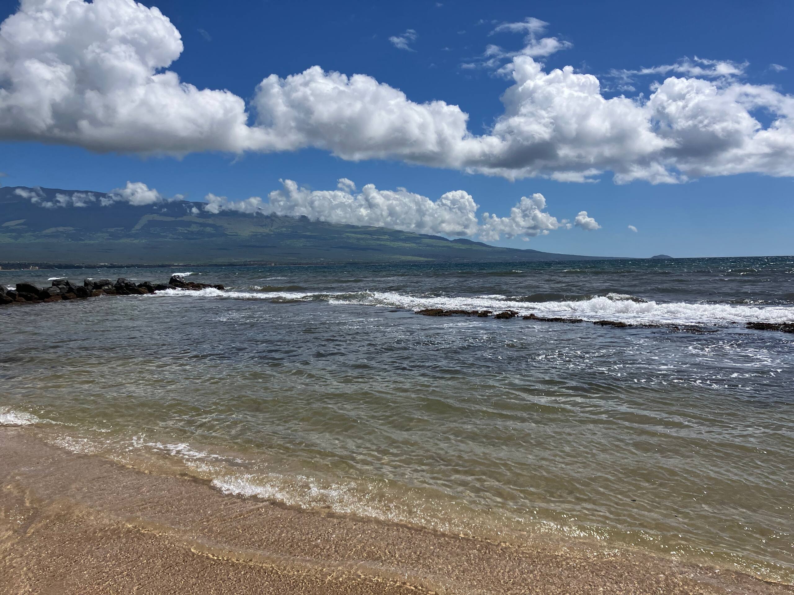 Condo in Wailuku · ★4.74 · 1 bedroom · 1 bed · 1 bath - Image 86