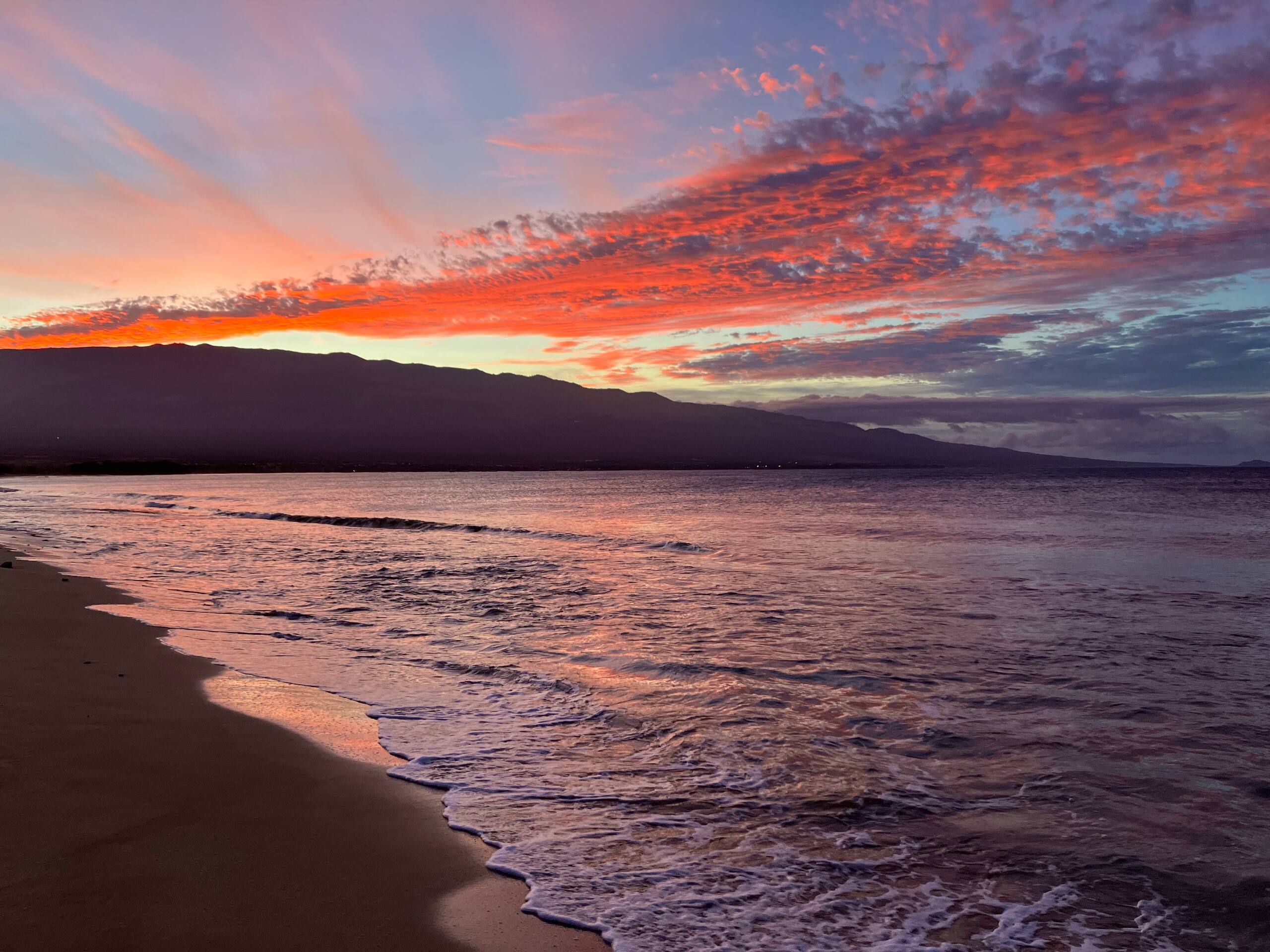 Condo in Wailuku · ★4.74 · 1 bedroom · 1 bed · 1 bath - Image 82