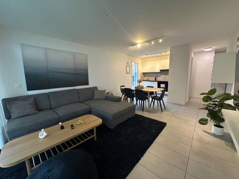 Great apartment in Lausanne (G06)