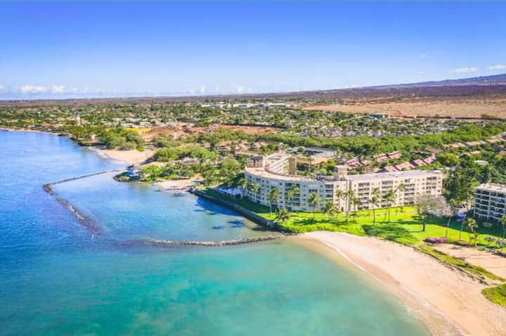 The Whale Watch 208-Oceanfront Kihei - Apartments for Rent in
