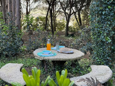 Propiedad de Airbnb exitosa: Dream cabin in the woods and by the sea en Miengo