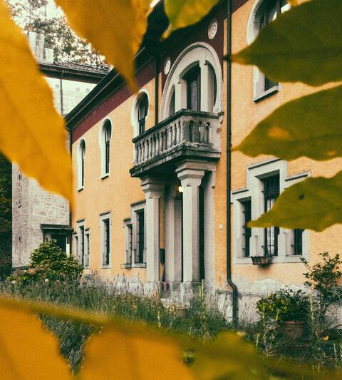 The Balcony