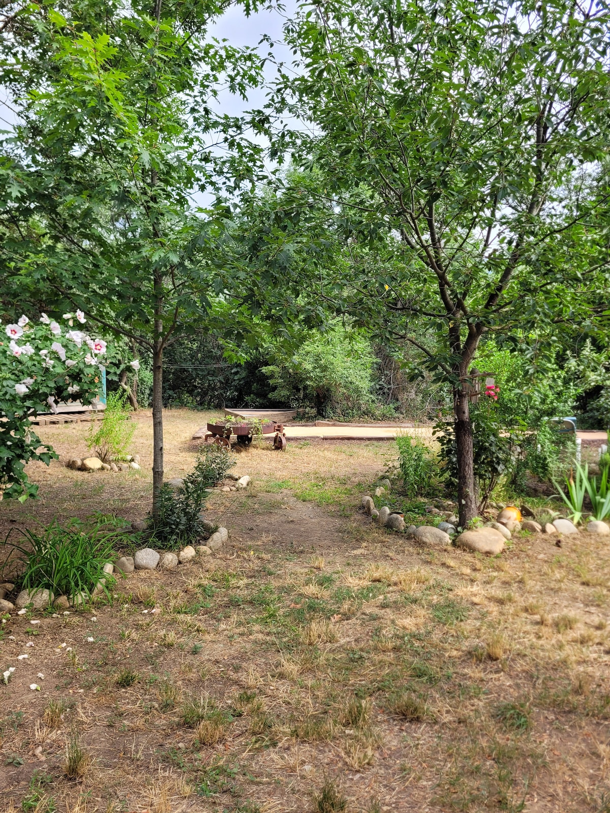 A garden area is captured, featuring thriving trees and greenery. A path leads through the landscape towards a seating area around a fire pit. Decorative stones outline the lawn, enhancing the natural setting, while various plants contribute to the serene ambiance.