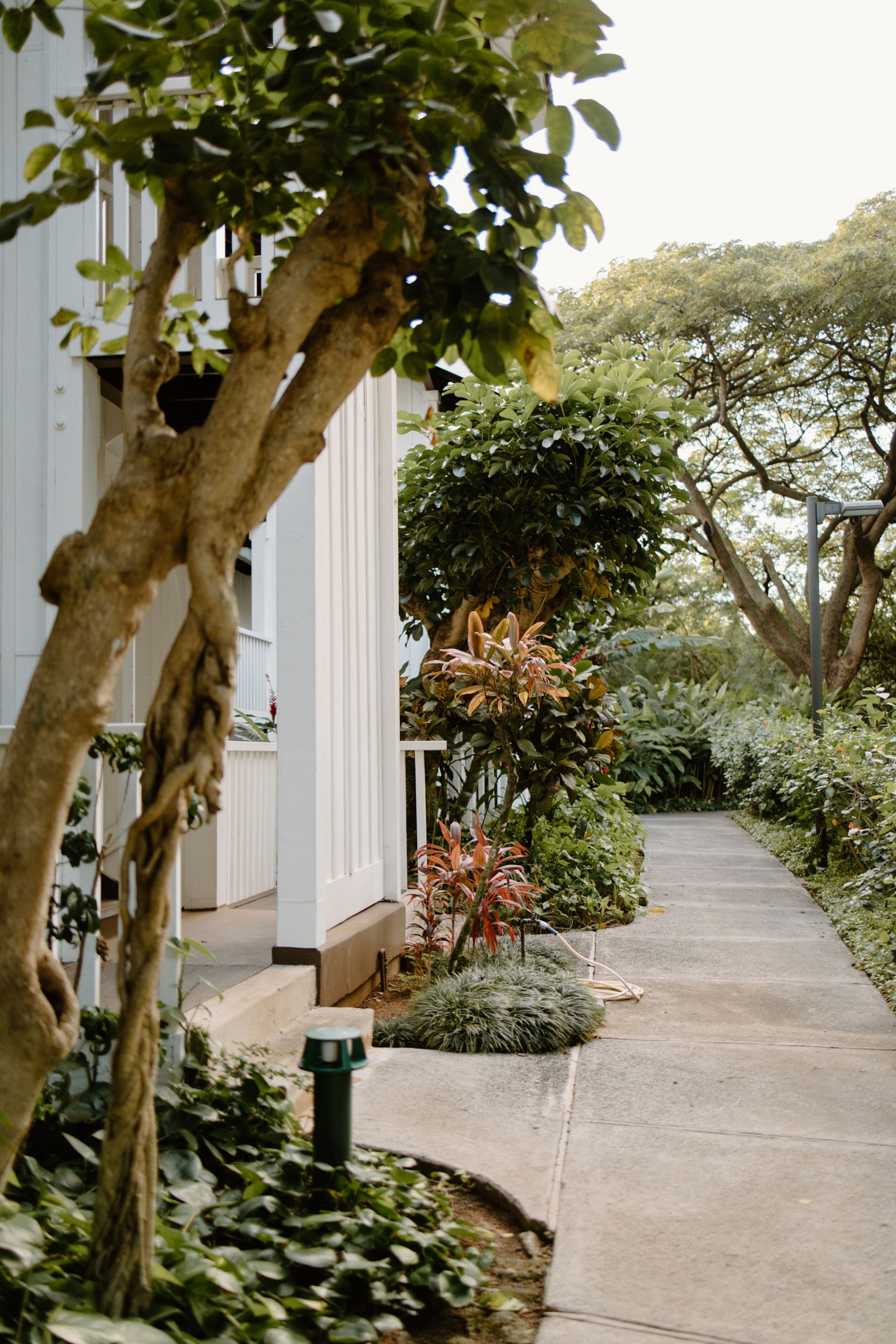 Condo in Koloa · ★4.99 · 1 bedroom · 2 beds · 1 bath - Photo 53
